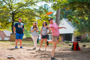 The Best Disc Golf Courses for Beginners