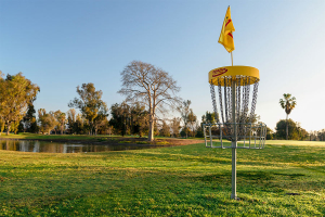 Install a permanent disc golf basket